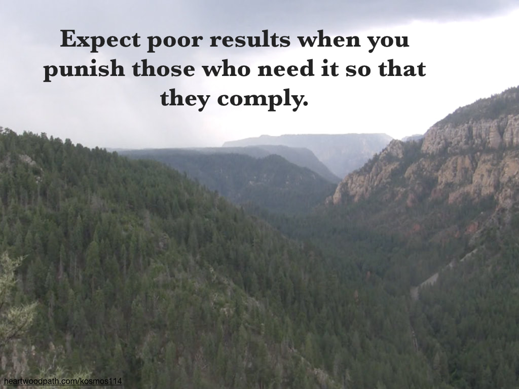 Picture pine tree canyon with quote Expect poor results when you punish those who need it so that they comply
