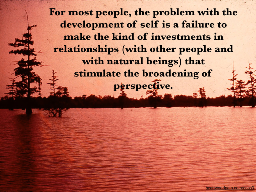Picture flood quote For most people, the problem with the development of self is a failure to make the kind of investments in relationships (with other people and with natural beings) that stimulate the broadening of perspective