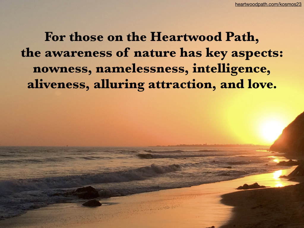 picture of sunset and quote - For those on the Heartwood Path, the awareness of nature has key aspects: nowness, namelessness, intelligence, aliveness, alluring attraction, and love