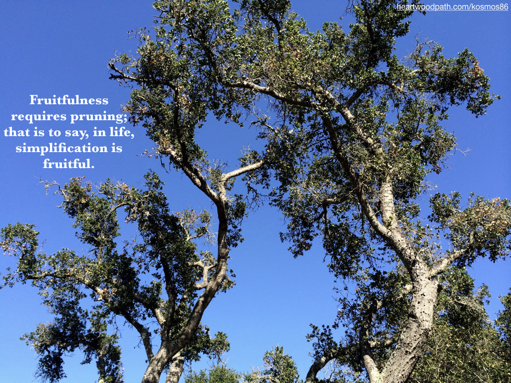 Picture trees and blue sky with quote Fruitfulness requires pruning; that is to say, in life, simplification is fruitful