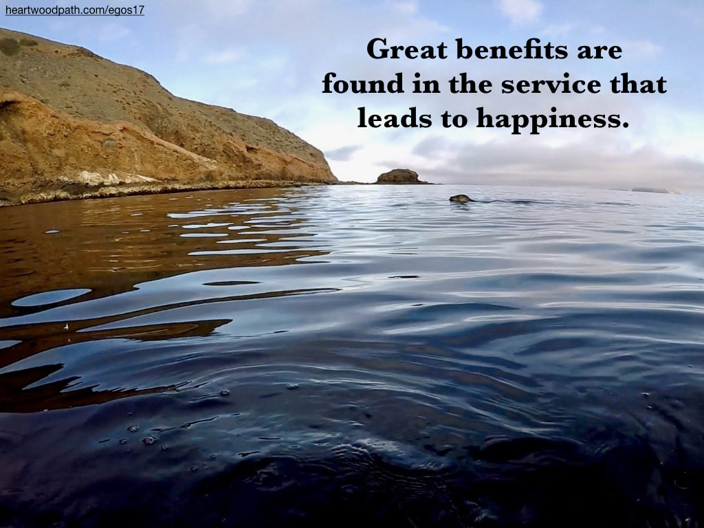 Picture sea lion quote Great benefits are found in the service that leads to happiness