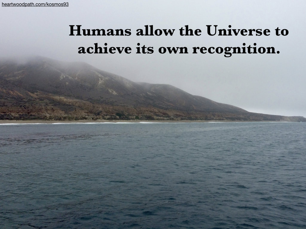 Picture foggy island with quote Humans allow the Universe to achieve its own recognition