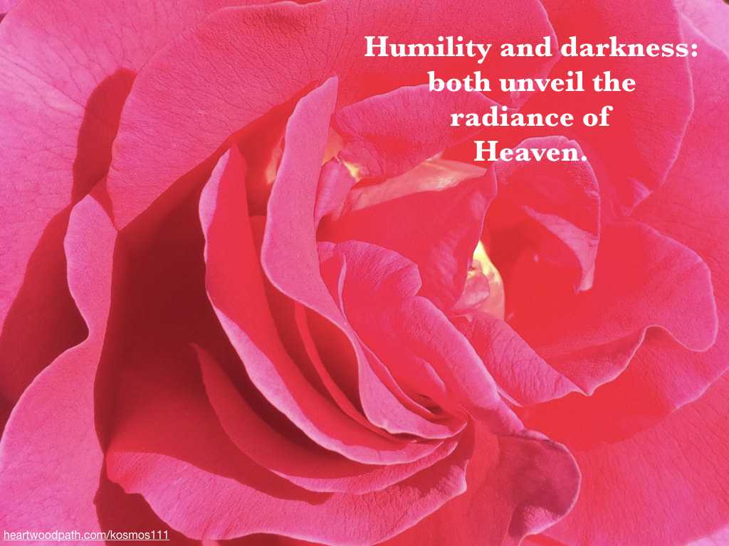 Picture pink rose with quote Humility and darkness: both unveil the radiance of Heaven