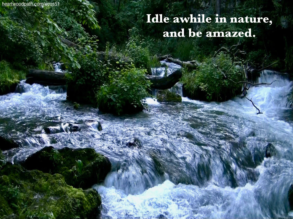 Picture green forest river rapids quote Idle awhile in nature, and be amazed