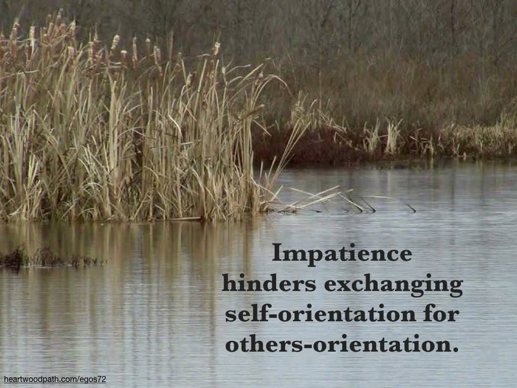 Picture cattails river quote Impatience hinders exchanging self-orientation for others-orientation
