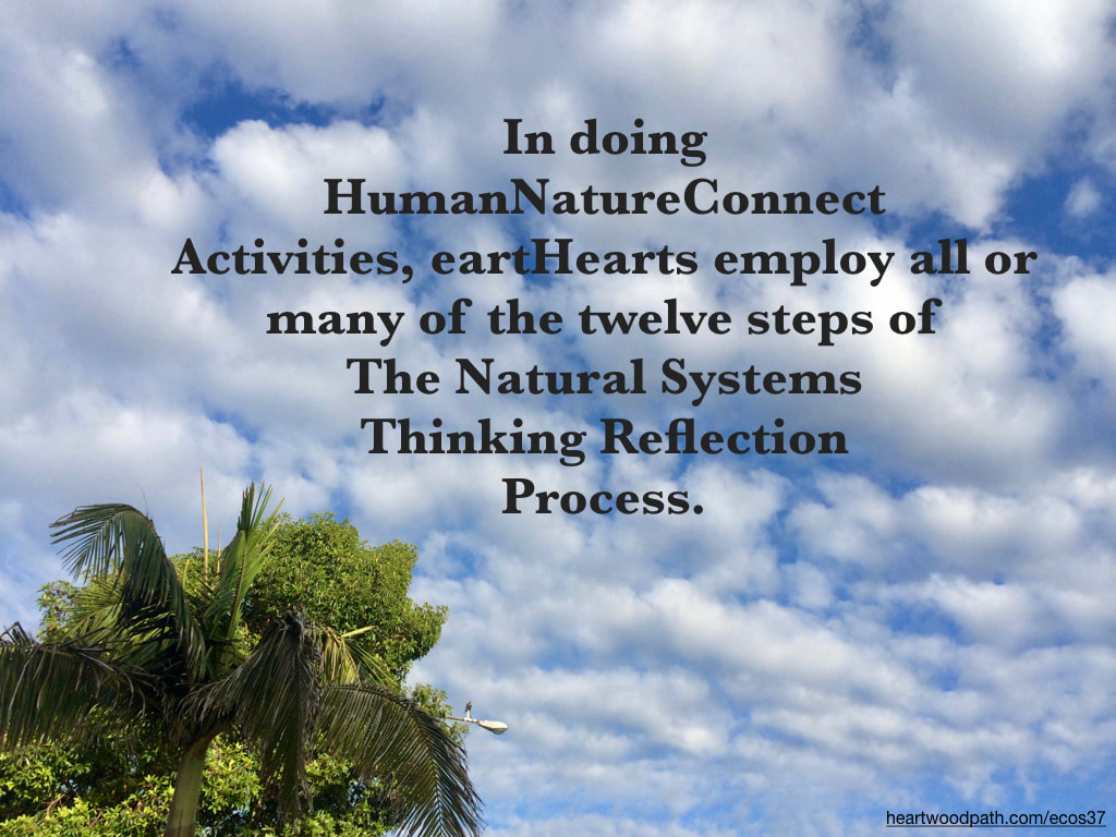 Picture palm trees clouds quote In doing HumanNatureConnect Activities, eartHearts employ all or many of the twelve steps of The Natural Systems Thinking Reflection Process.