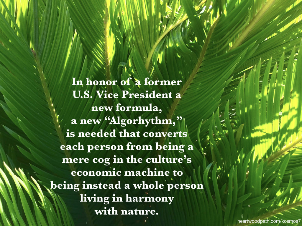 picture of palms and quote In honor of a former U.S. Vice President a new formula, a new “Algorhythm,” is needed that converts each person from being a mere cog in the culture’s economic machine to being instead a whole person living in harmony with nature