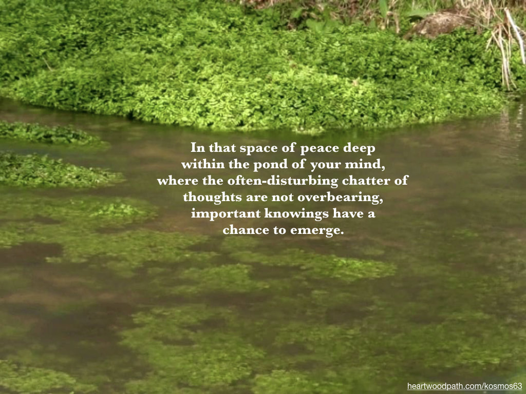 Picture clear river with words -In that space of peace deep within the pond of your mind, where the often-disturbing chatter of thoughts are not overbearing, important knowings have a chance to emerge