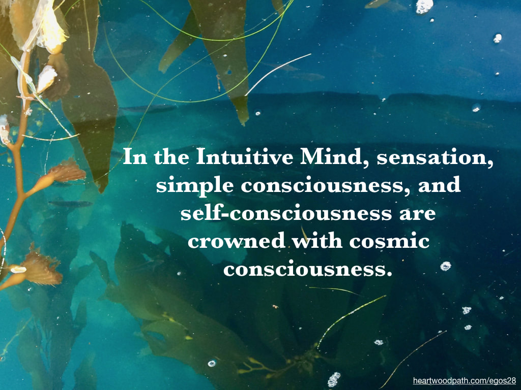 Picture sea weed quote In the Intuitive Mind, sensation, simple consciousness, and self-consciousness are crowned with cosmic consciousness