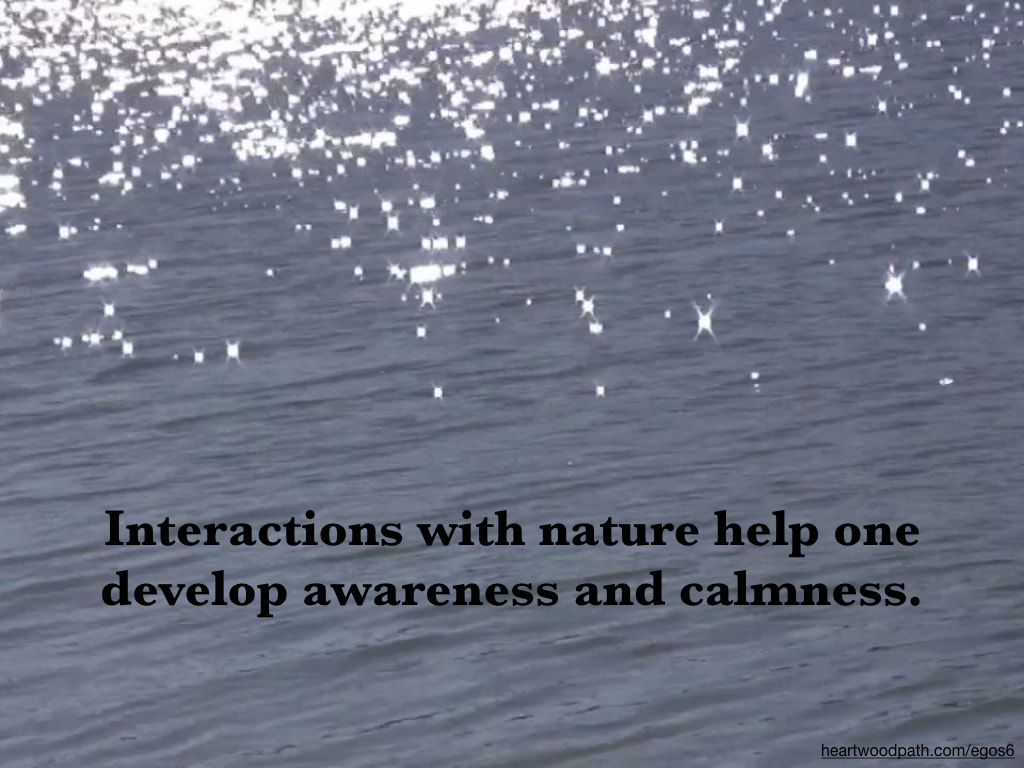 Picture sparkling water with quote Interactions with nature help one develop awareness and calmness