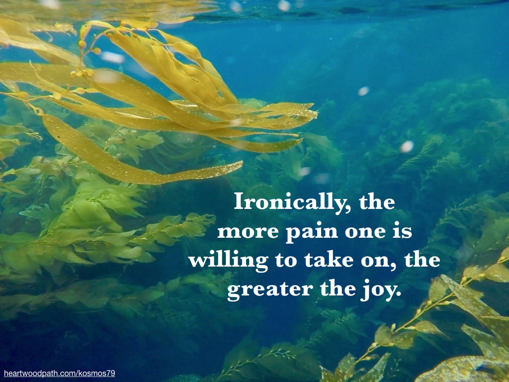 Picture kelp forest with quote Ironically, the more pain one is willing to take on, the greater the joy