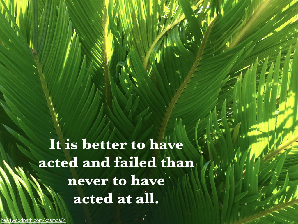 Picture palm fronds and words - It is better to have acted and failed than never to have acted at all