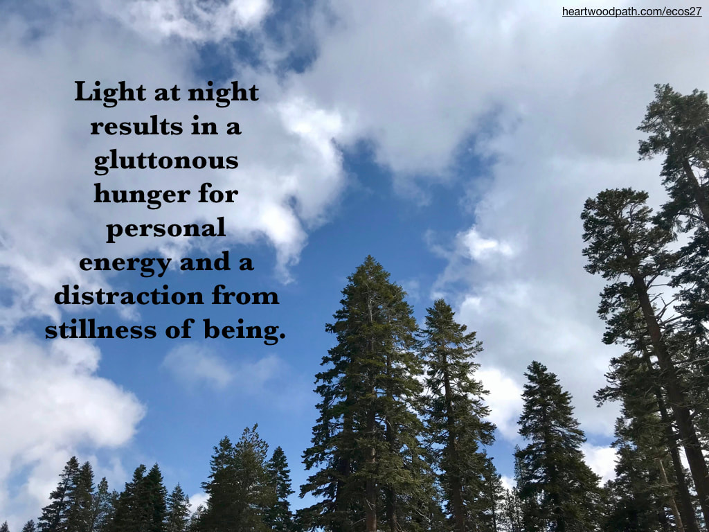 Picture pine trees clouds blue sky quote Light at night results in a gluttonous hunger for personal energy and a distraction from stillness of being