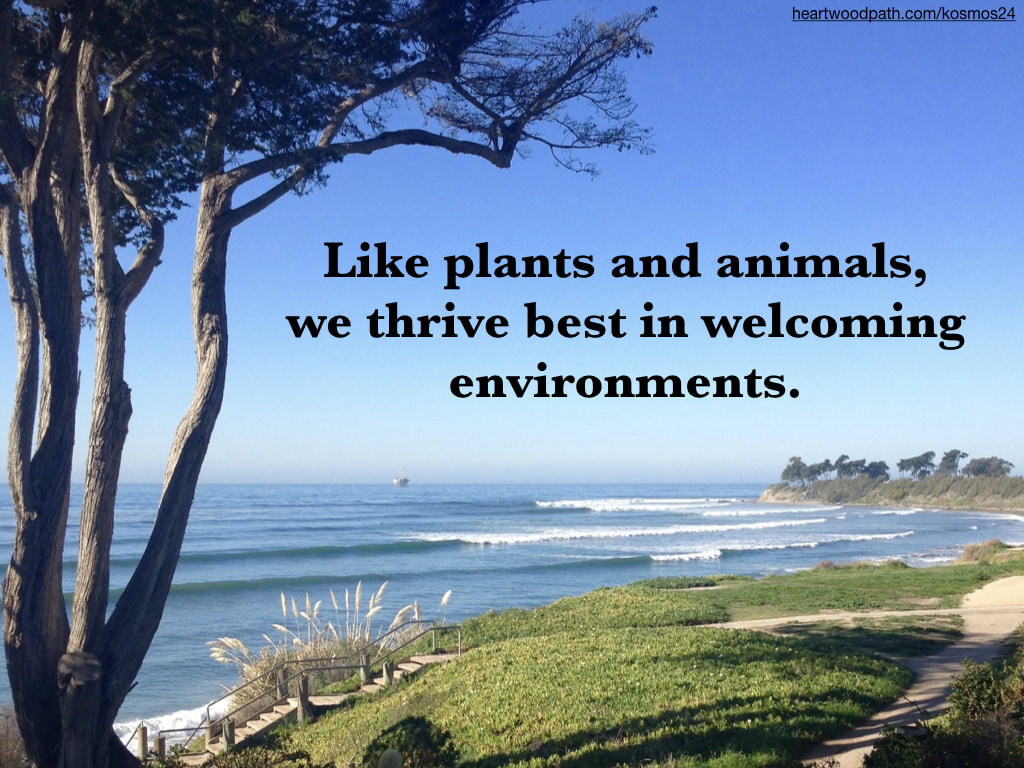 picture of ocean view and quote Like plants and animals, we thrive best in welcoming environments