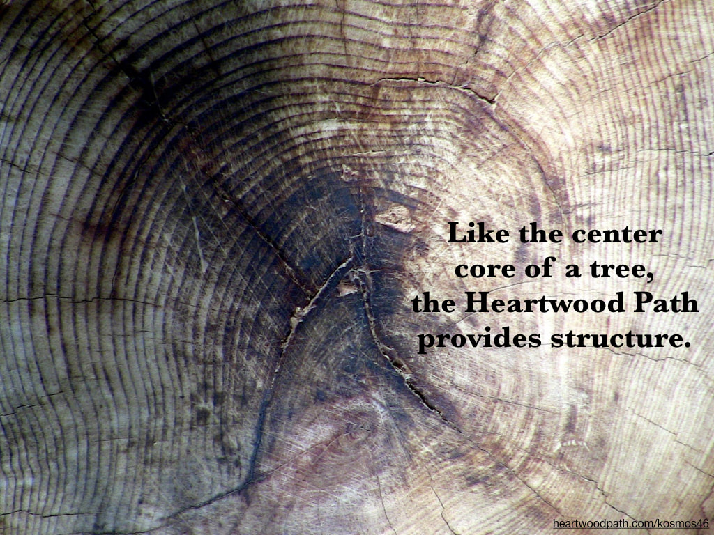 Picture heartwood of tree with quote Like the center core of a tree, the Heartwood Path provides structure