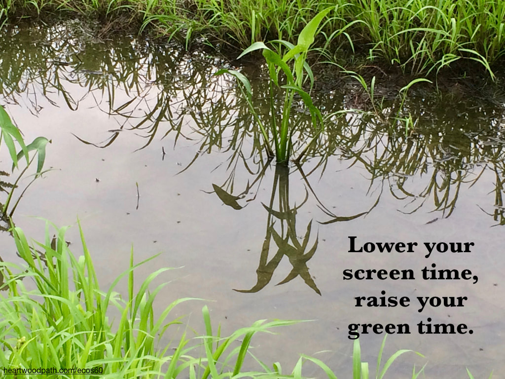 Picture green grass swamp quote Lower your screen time, raise your green time