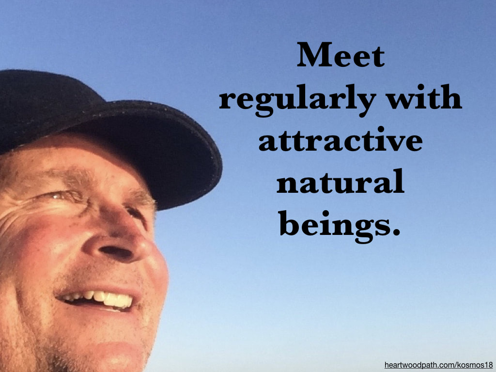 picture of life coach don pierce saying Meet regularly with attractive natural beings