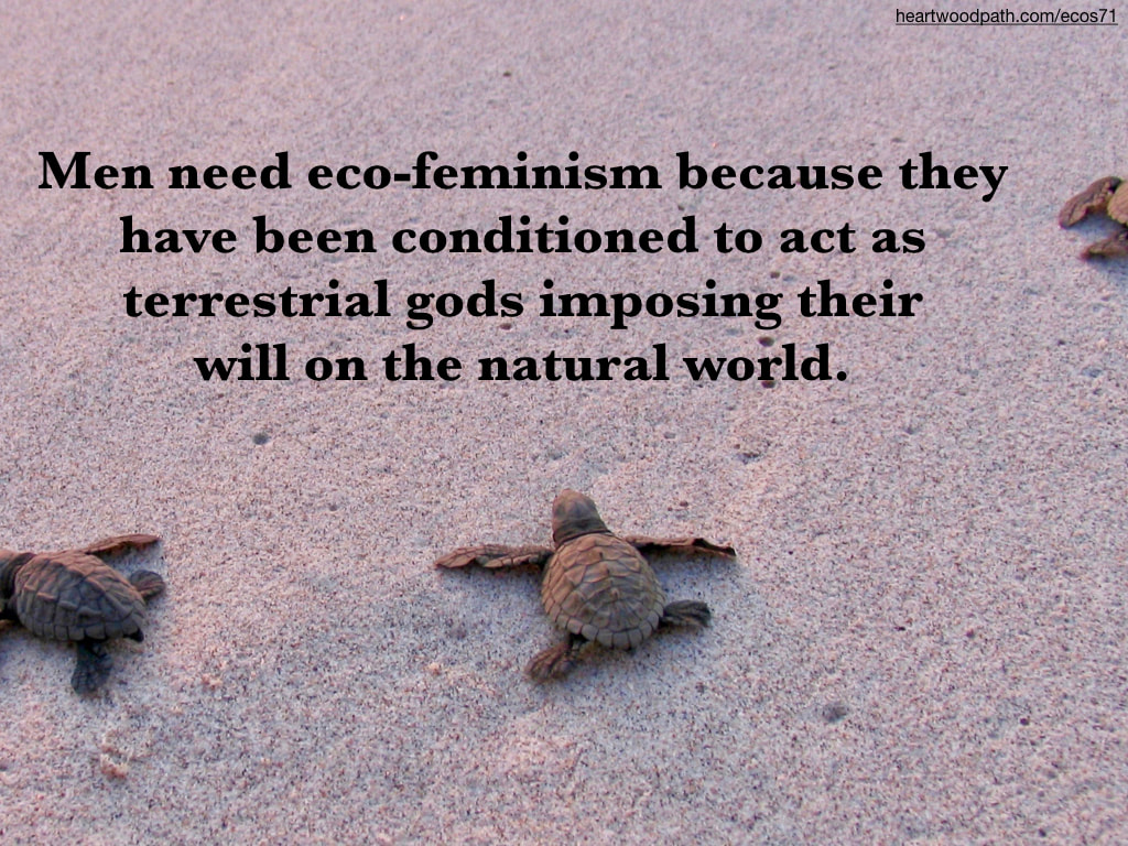 Picture baby sea turtle on beach quote Men need eco-feminism because they have been conditioned to act as terrestrial gods imposing their will on the natural world