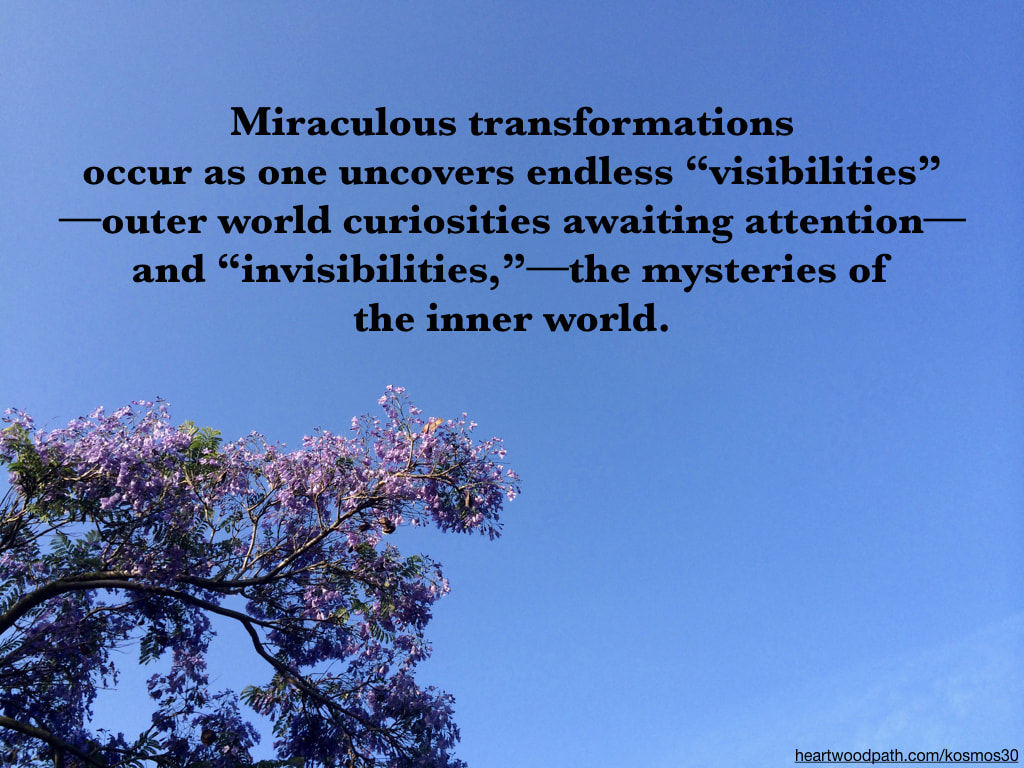 picture tree with words Miraculous transformations occur as one uncovers endless “visibilities”--outer world curiosities awaiting attention--and “invisibilities,” –the mysteries of the inner world