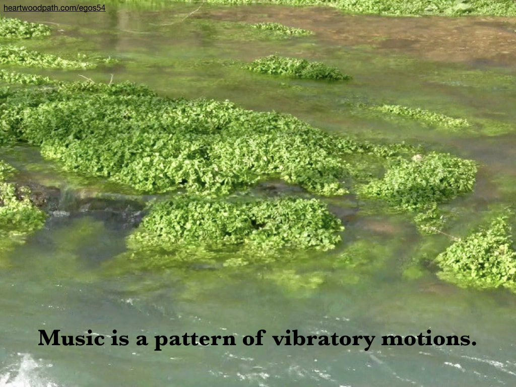 Picture river plants quote Music is a pattern of vibratory motions