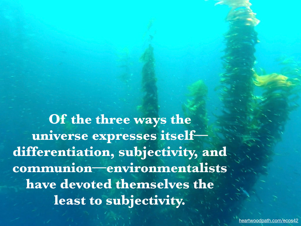 Picture kelp underwater school fish quote Of the three ways the universe expresses itself––differentiation, subjectivity, and communion––environmentalists have devoted themselves the least to subjectivity