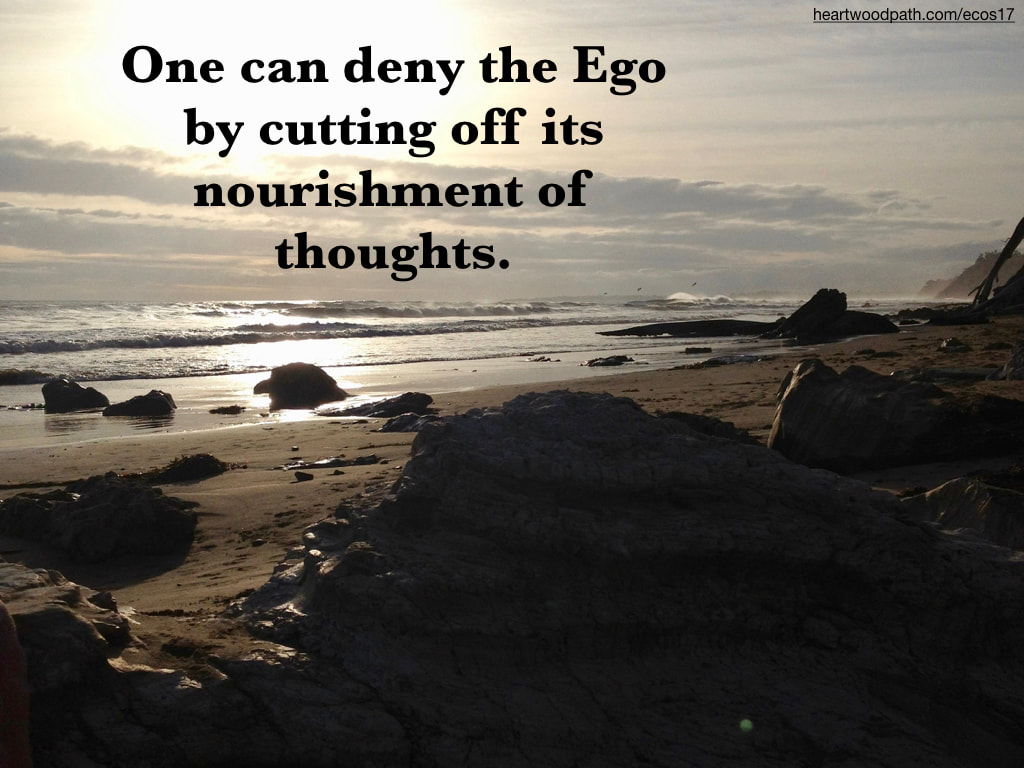 Picture sunshine beach boulders quote One can deny the Ego by cutting off its nourishment of thoughts