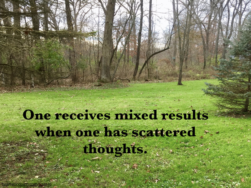 Picture forest grass quote One receives mixed results when one has scattered thoughts
