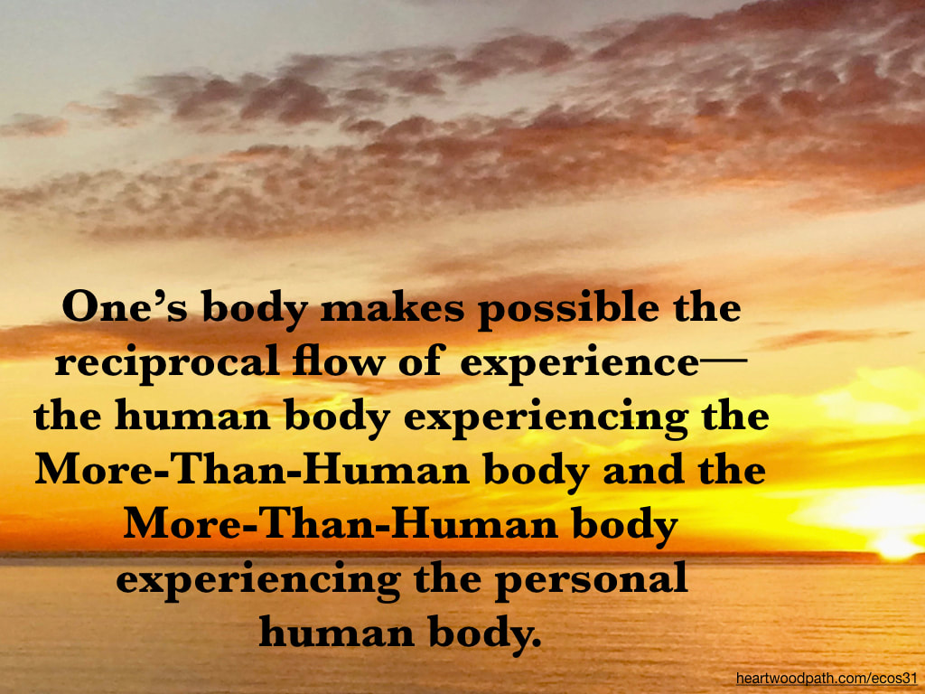 Picture bright yellow orange sunset ocean quote One’s body makes possible the reciprocal flow of experience--the human body experiencing the More-Than-Human body and the More-Than-Human body experiencing the personal human body