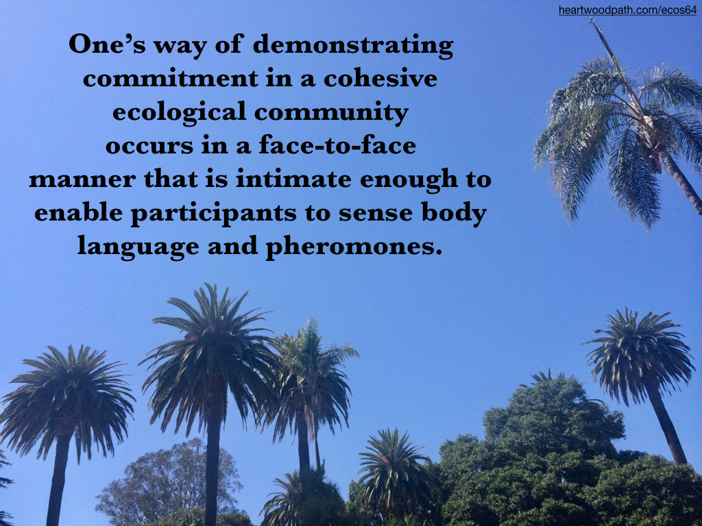 Picture palm trees blue sky quote One’s way of demonstrating commitment in a cohesive ecological community occurs in a face-to-face manner that is intimate enough to enable participants to sense body language and pheromones