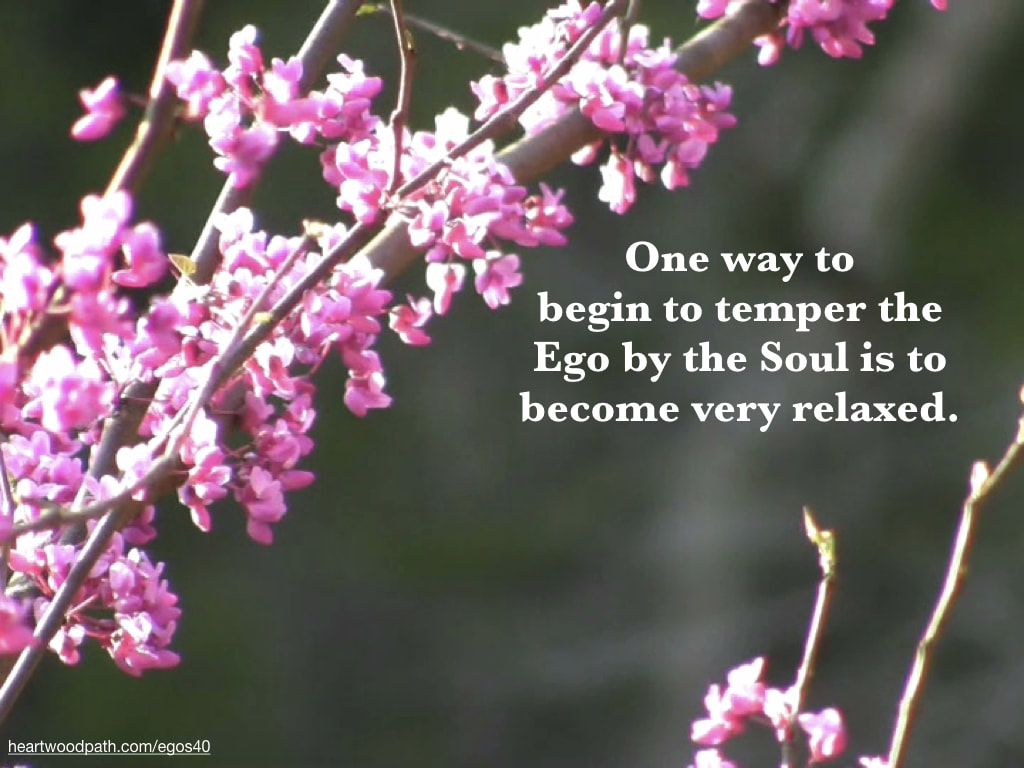 Picture pink flowers tree quote One way to begin to temper the Ego by the Soul is to become very relaxed