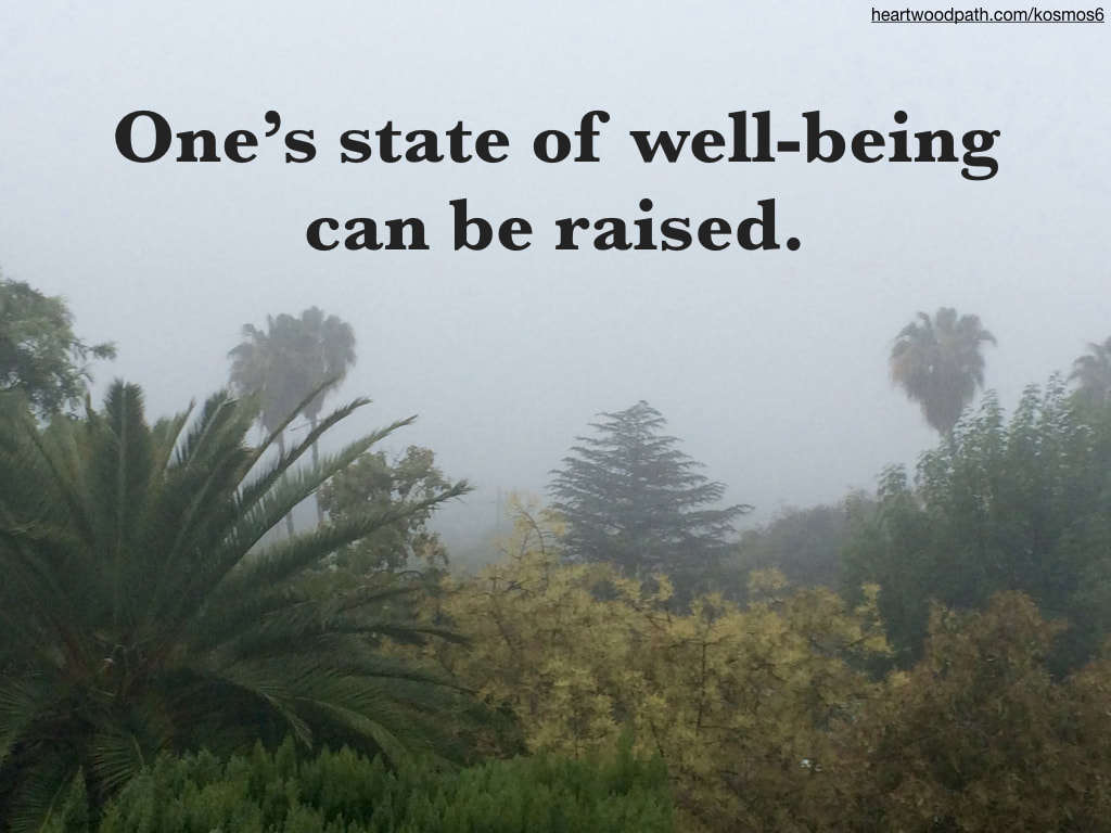 picture of fog with quote that reads One’s state of well-being can be raised