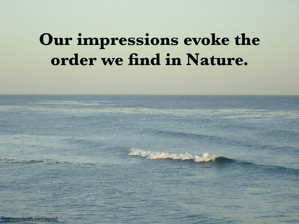 Picture wave with quote Our impressions evoke the order we find in Nature
