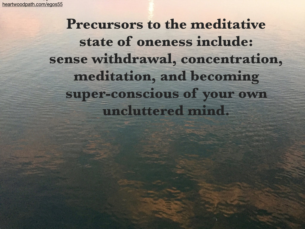 Picture sunset reflection on ocean quote Precursors to the meditative state of oneness include: sense withdrawal, concentration, meditation, and becoming super-conscious of your own uncluttered mind