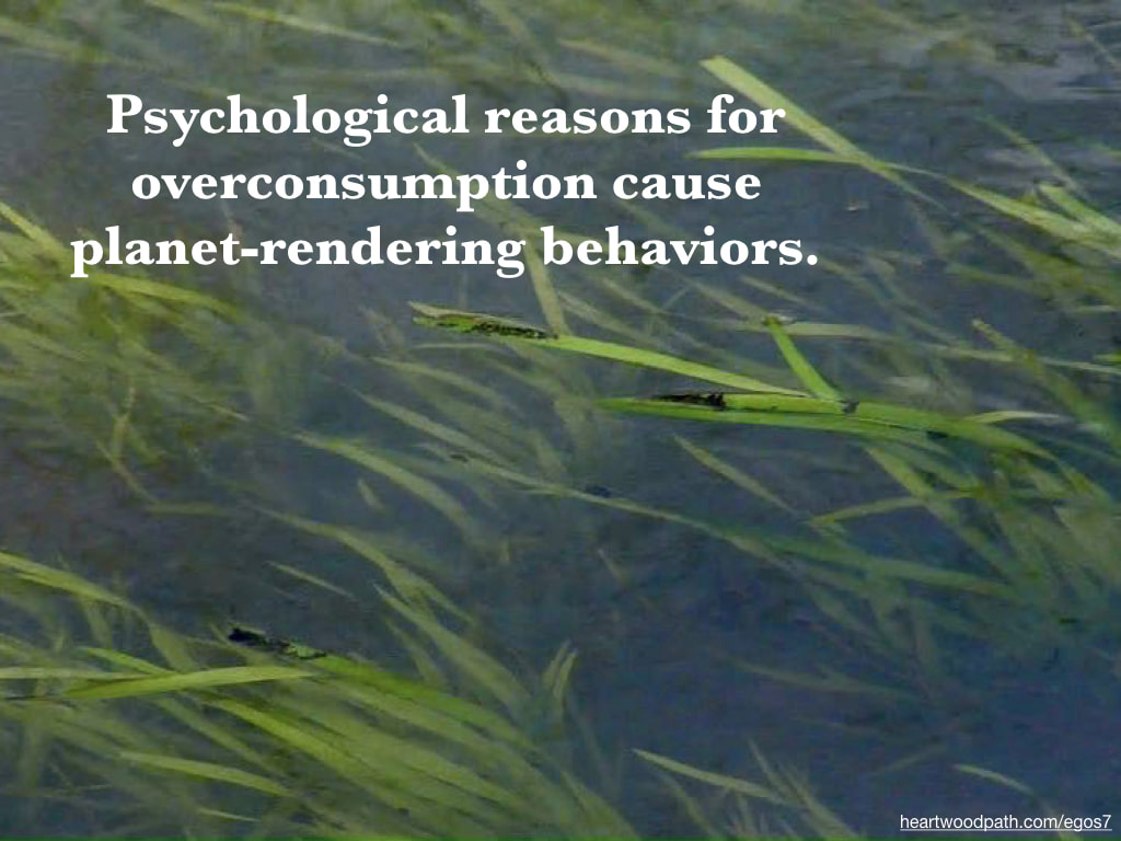 Picture grass underwater quote Psychological reasons for overconsumption cause planet-rendering behaviors