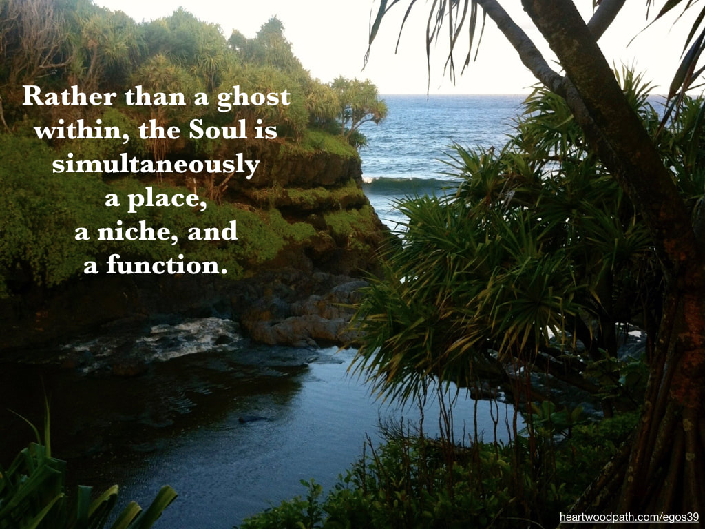 Picture waterfall to ocean quote Rather than a ghost within, the Soul is simultaneously a place, a niche, and a function