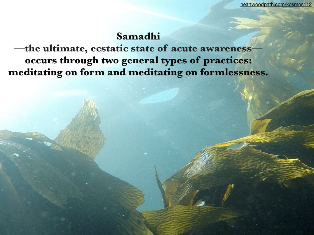 Picture underwater seaweed quote Samadhi--the ultimate, ecstatic state of acute awareness––occurs through two general types of practices: meditating on form and meditating on formlessness