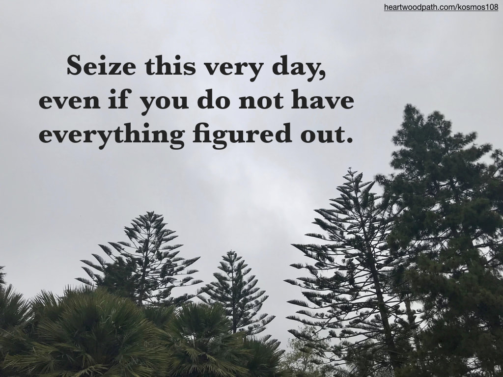 Picture trees foggy day with quote Seize this very day, even if you do not have everything figured out