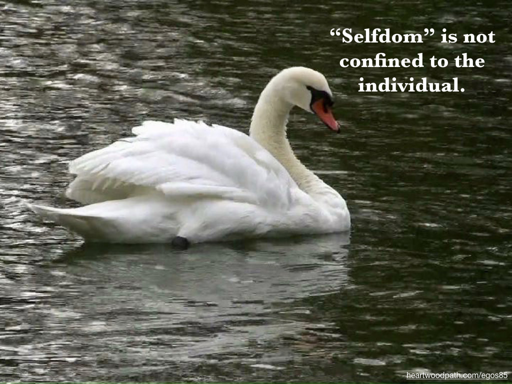 Picture swan lake quote “Selfdom” is not confined to the individual