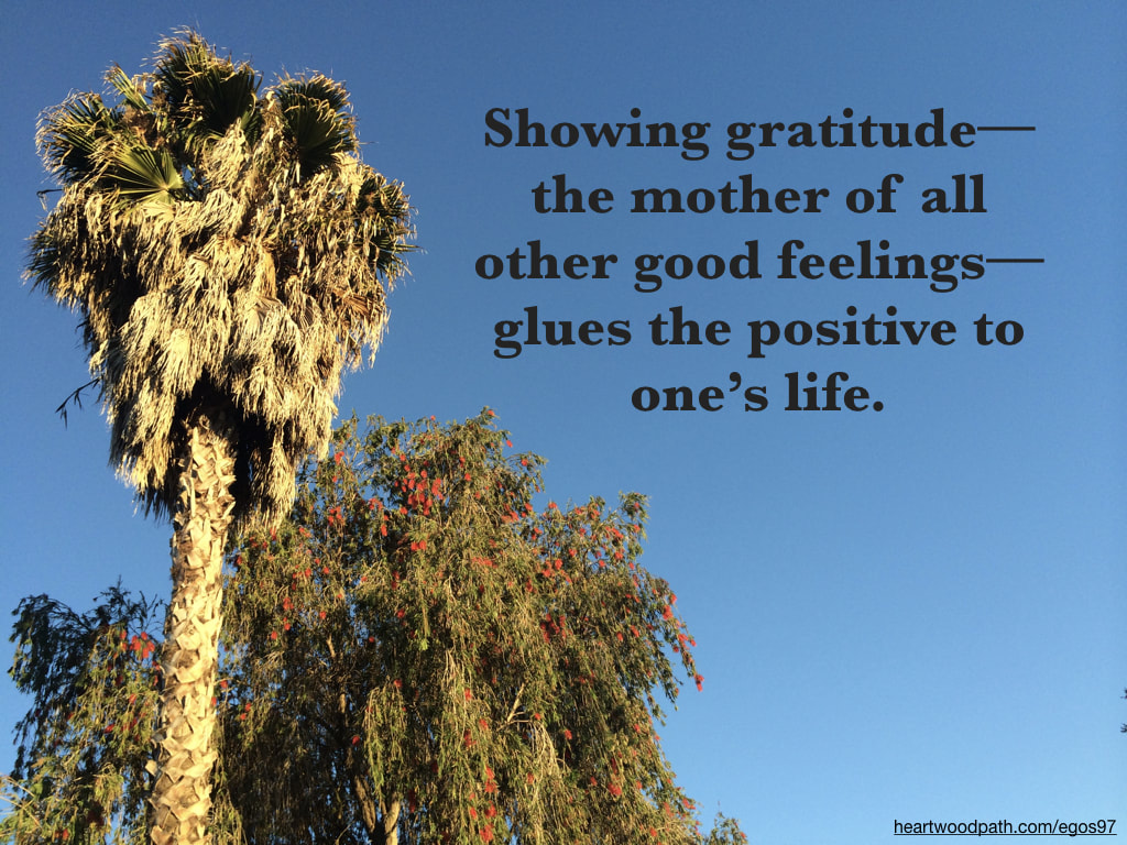 Picture palm tree bottle brush tree quote Showing gratitude––the mother of all other good feelings––glues the positive to one’s life