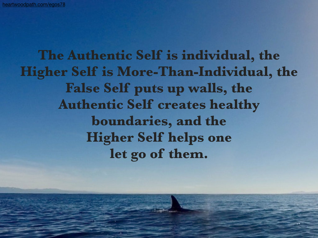 Picture orca fin quote The Authentic Self is individual, the Higher Self is More-Than-Individual, the False Self puts up walls, the Authentic Self creates healthy boundaries, and the Higher Self helps one let go of them