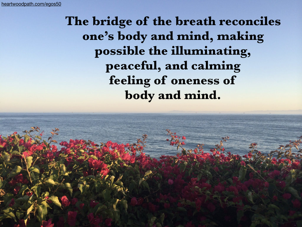Picture pink flowers ocean island quote The bridge of the breath reconciles one’s body and mind, making possible the illuminating, peaceful, and calming feeling of oneness of body and mind