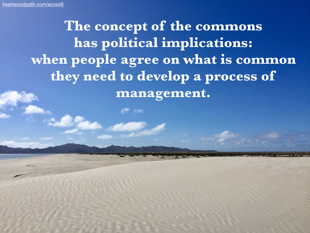 Picture sand dune ripples quote The concept of the commons has political implications: when people agree on what is common they need to develop a process of management