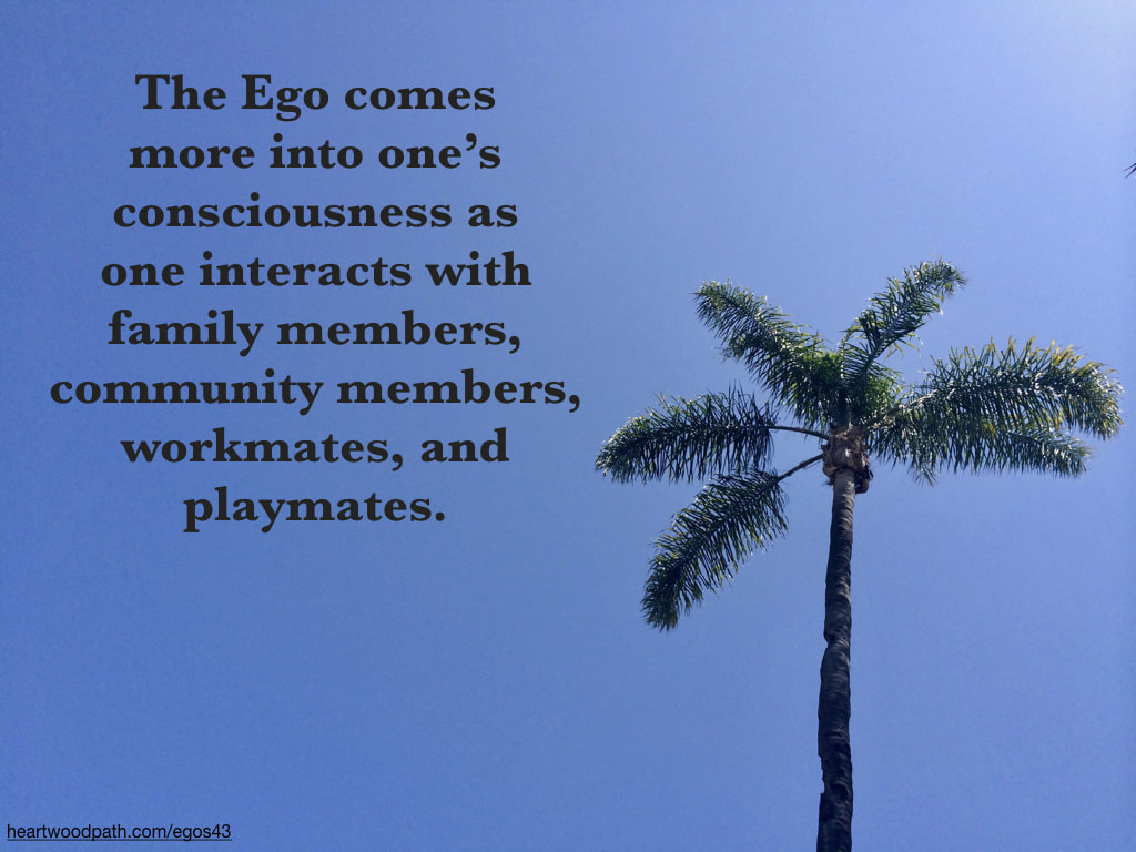 Picture palm tree quote The Ego comes more into one’s consciousness as one interacts with family members, community members, workmates, and playmates