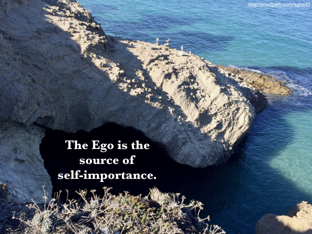 Picture ocean cove quote The Ego is the source of self-importance