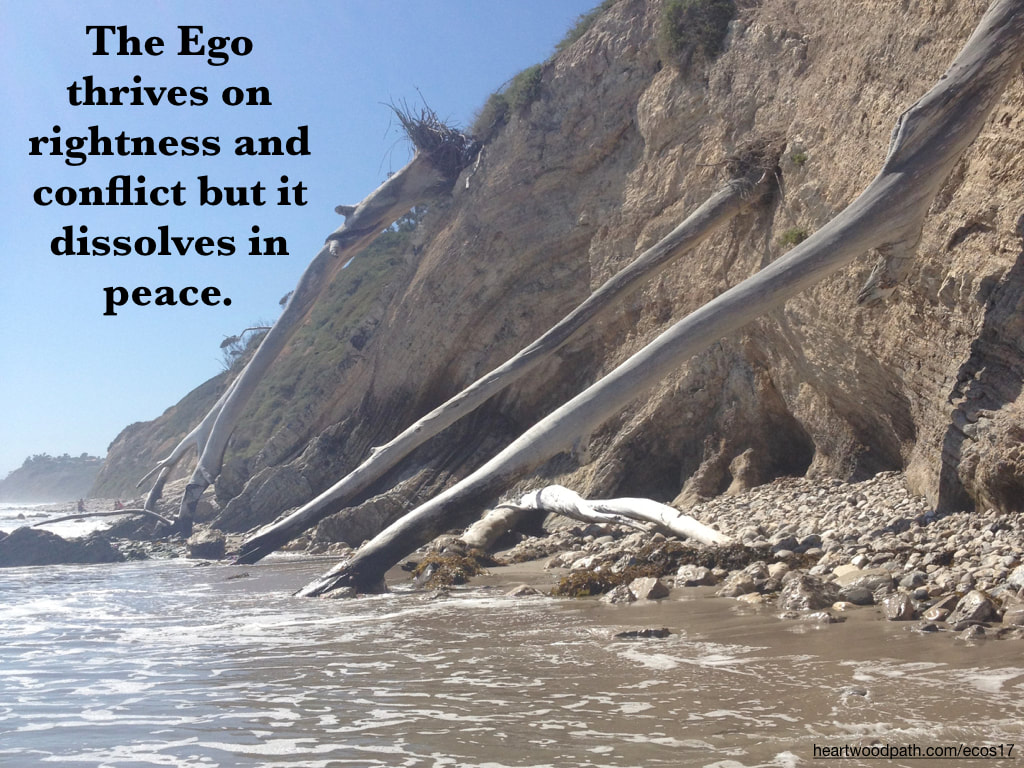 Picture cliff erosion trees fallen ocean quote The Ego thrives on rightness and conflict but it dissolves in peace