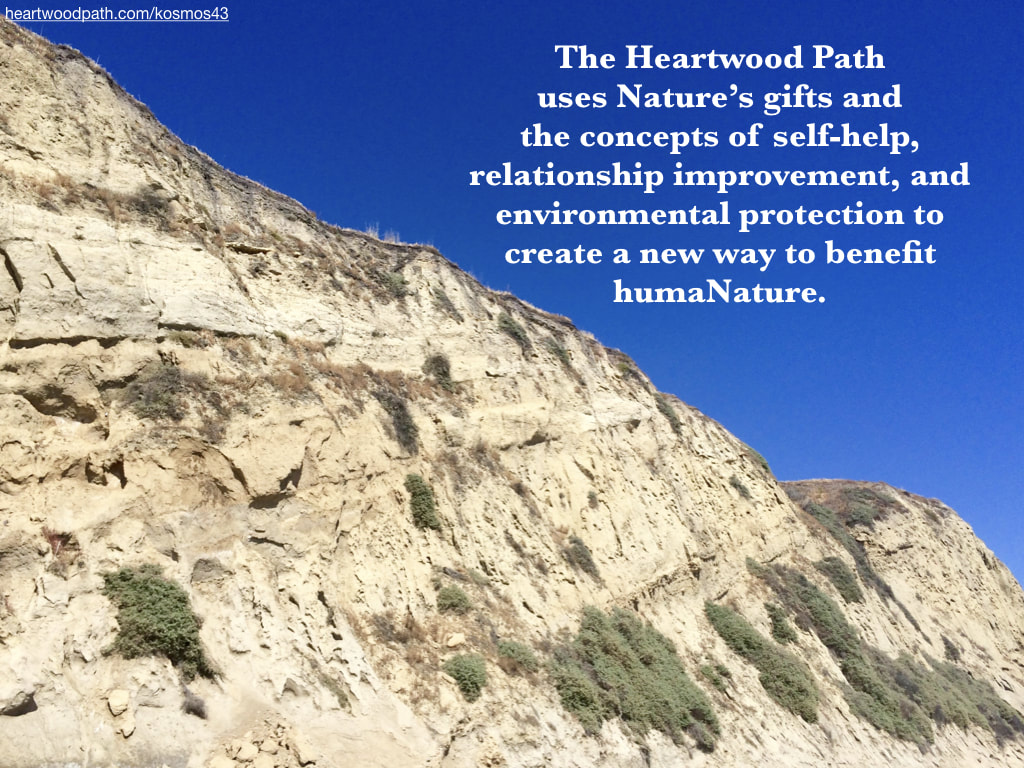 picture of rocky coastal cliff with words - The Heartwood Path uses Nature’s gifts and the concepts of self-help, relationship improvement, and environmental protection to create a new way to benefit humaNature