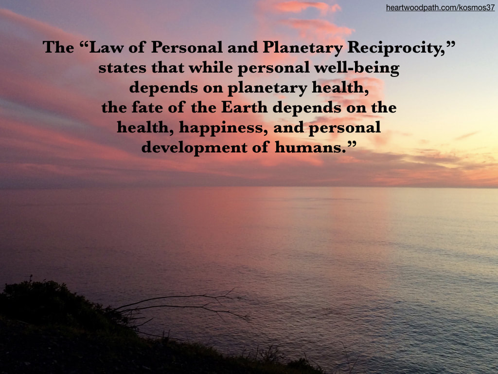 picture of sunset over the ocean and quote The “Law of Personal and Planetary Reciprocity,” states that while personal well-being depends on planetary health, the fate of the Earth depends on the health, happiness, and personal development of humans
