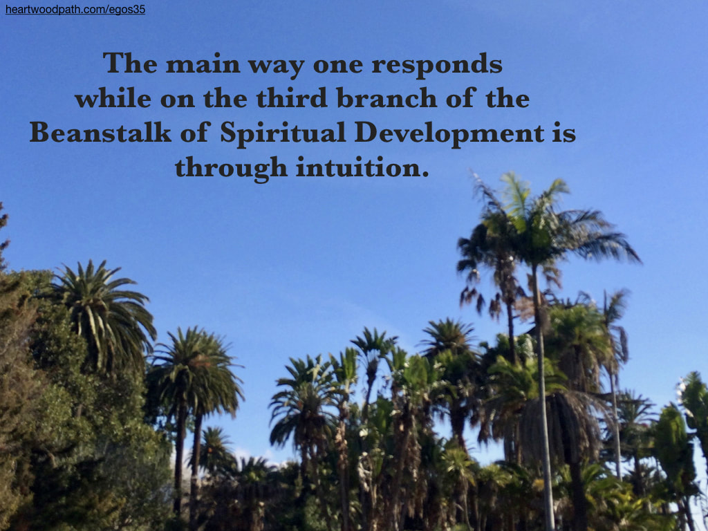 Picture palm trees words The main way one responds while on the third branch of the Beanstalk of Spiritual Development is through intuition