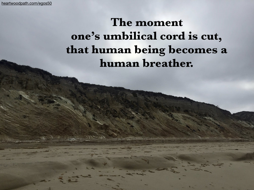 Picture rocky coastline quote The moment one’s umbilical cord is cut, that human being becomes a human breather