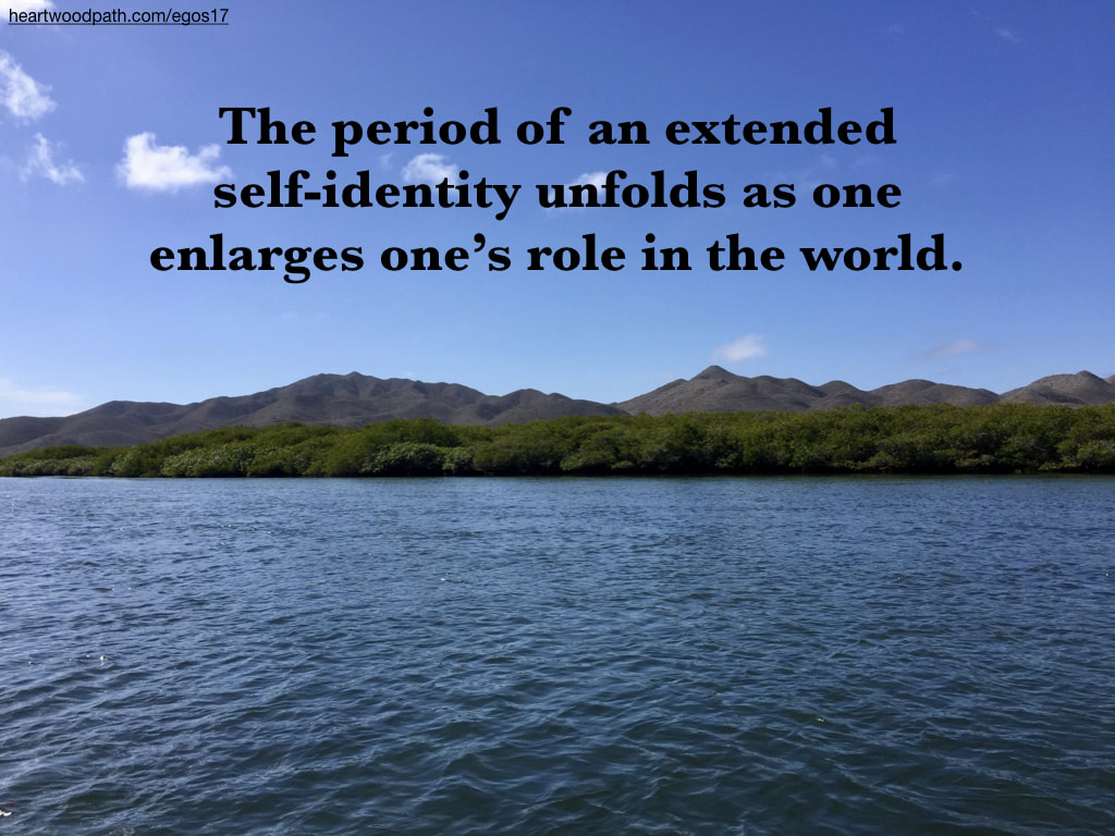 Picture mangrove quote The period of an extended self-identity unfolds as one enlarges one’s role in the world